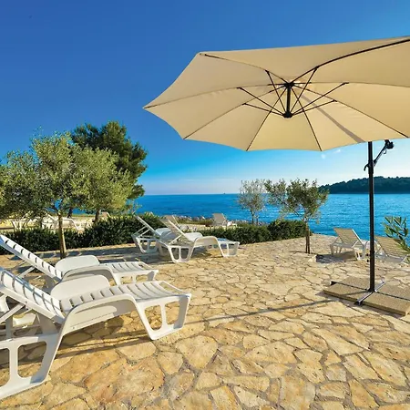 Beautiful In * ロゴズニッツァ