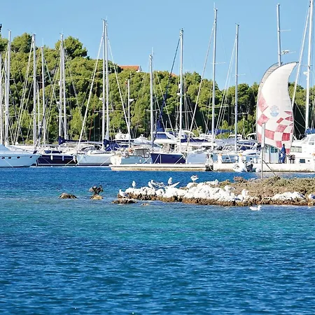 Beautiful In ロゴズニッツァ